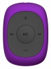  Flash Digma C2 8Gb //FM/clip